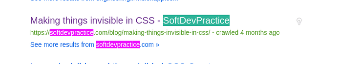 Screen capture of the softdev website in the search results.